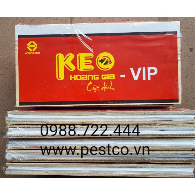Keo dính Chuột miếng Gỗ