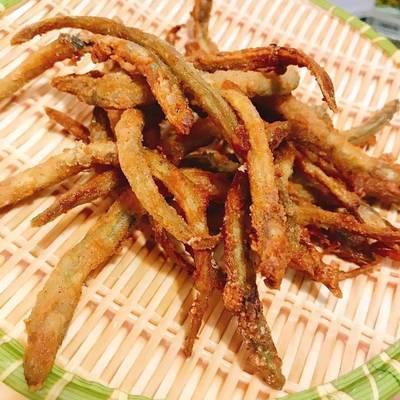 Cá sụn sịn
