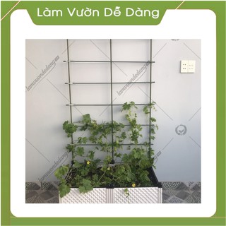 (DEAL SỐC) GIÀN LEO cao 1m5 - KHUNG TRỒNG CÂY Dùng làm Khung Đỡ, Giá Đỡ Hoa Hồng Leo, giàn leo bầu bí mướp