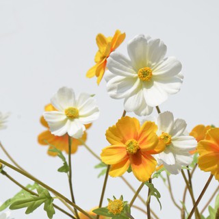 Siêu phẩm Cúc đồng nội cành 6 nhánh dài 90cm. 100% như thật