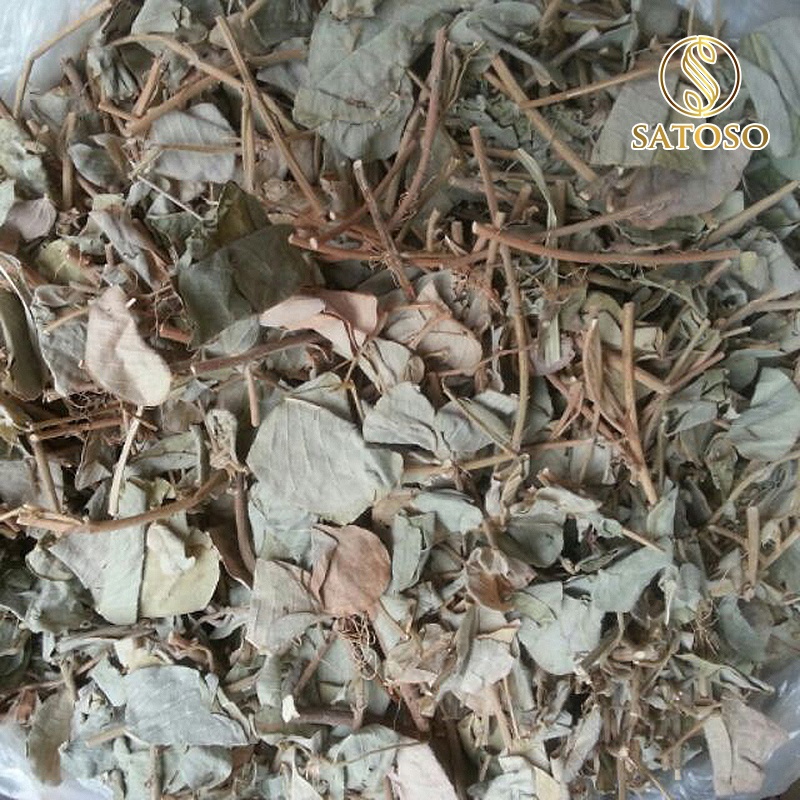 Kim tiền thảo thượng hạng tốt cho thận SATOSO 1kg SA48