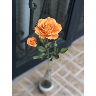 Hoa hồng đất sét