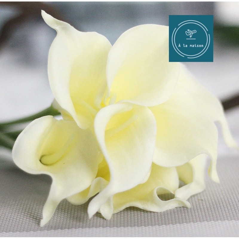 Hoa giả - Calla LiLy nhí 35cm mô phỏng giống thật, hoa cô dâu, hoa decor trang trí