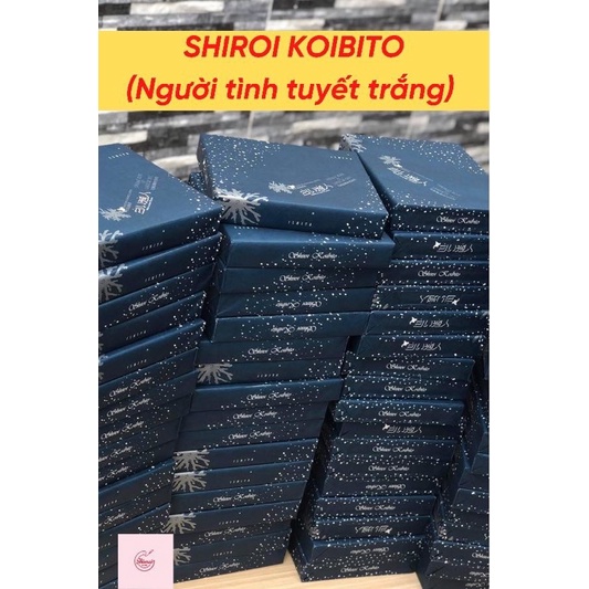 Bánh Shiroi Koibito- Người tình tuyết trắng Nhật Bản( hộp 12 bánh)