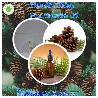 Tinh dầu Thông Pine essential oil giúp làm sạch không khí, nguyên liệu sản xuất nước hoa, xà phòng - 100ml