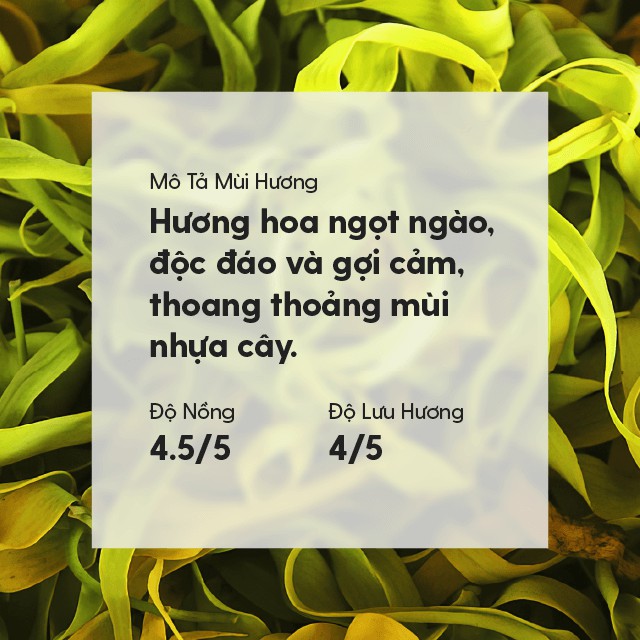 20 MÙI Tinh Dầu Thơm Phòng Ngủ Thiên Nhiên Organic Nguyên Chất Đậm Đặc HENY GARDEN