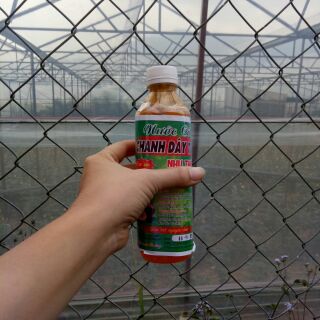 Nước cốt Chanh dây Đà Lạt chai 500ml