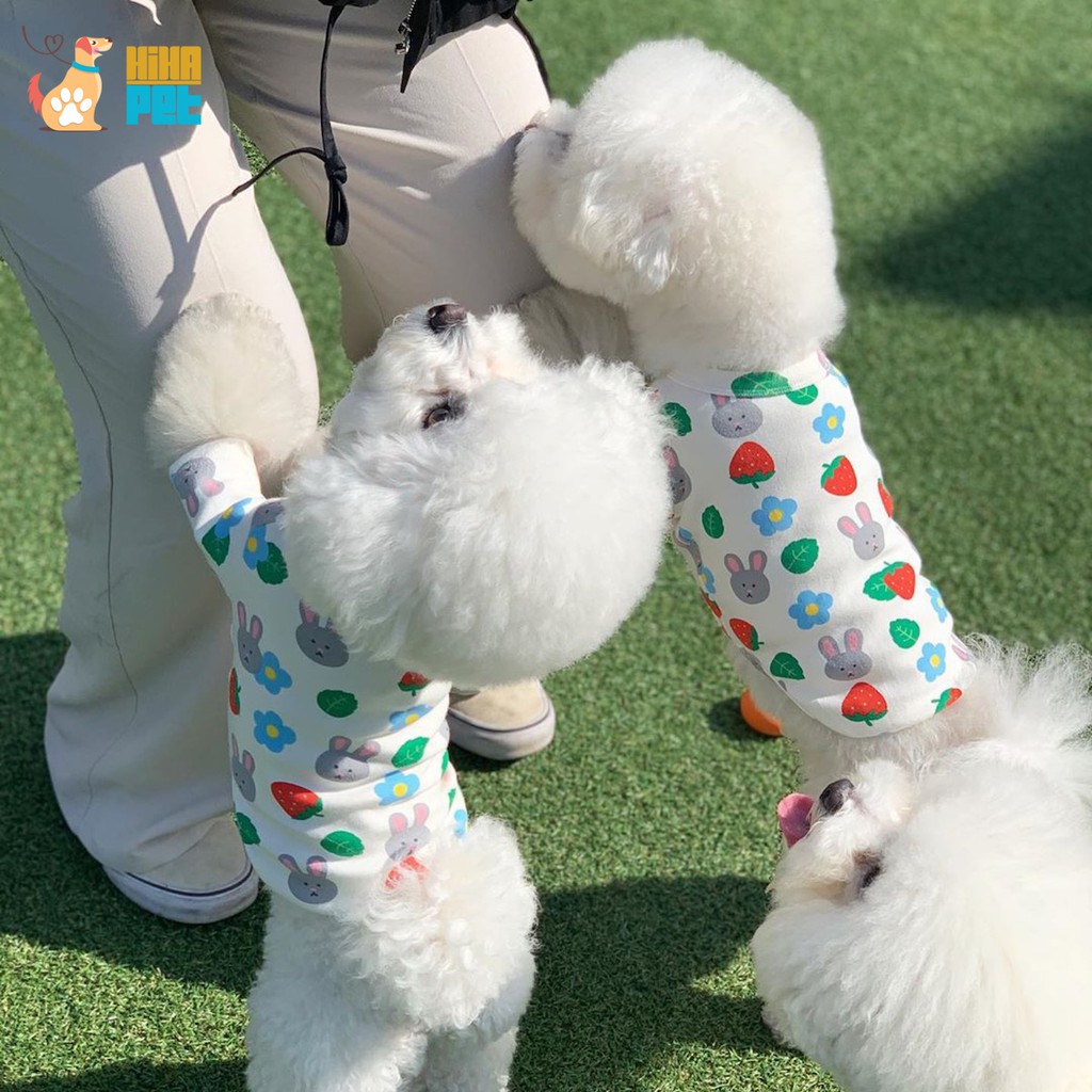 Áo Thun Ba Lỗ Hình Trái Dâu Thỏ Cho Chó Mèo Hàn Quốc Quần Áo Thú Cưng Cao Cấp Hihapet.