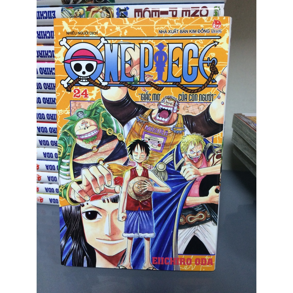 One Piece 24