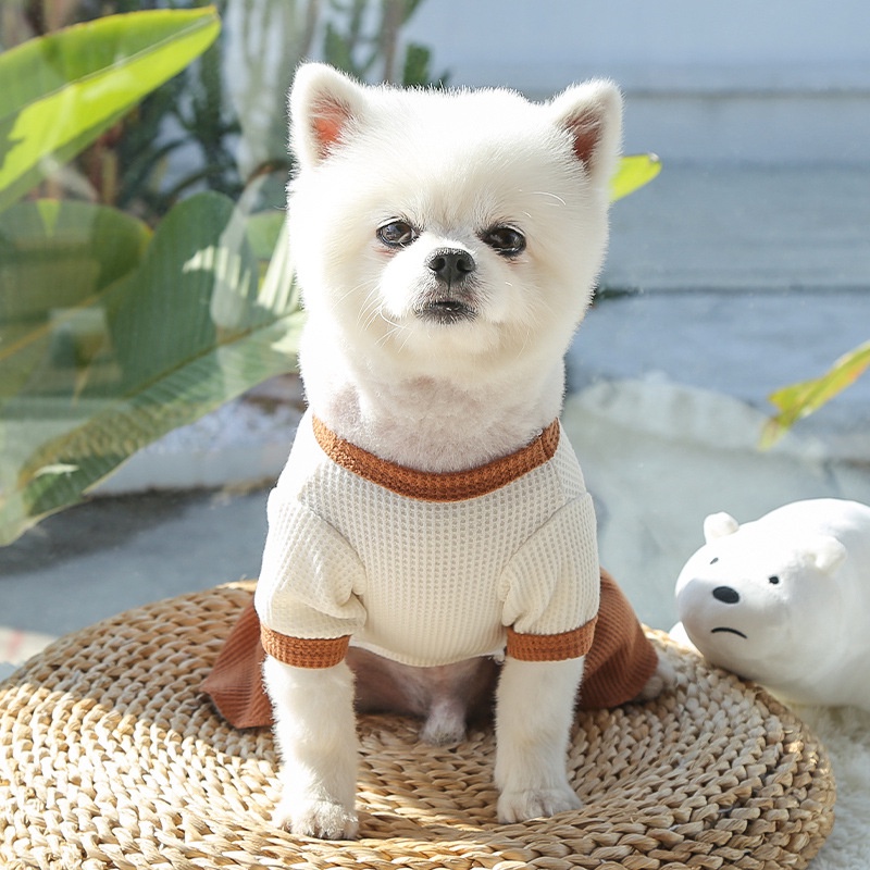 Đầm Thun Thoáng Khí In Họa Tiết Chú Gấu Dễ Thương Thời Trang Mùa Hè Cho Thú Cưng