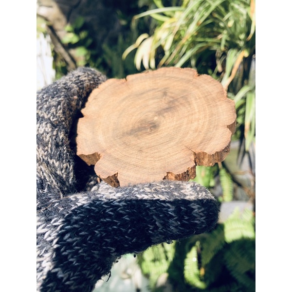 Miếng lót ly, kê bonsai mini, kê tượng gỗ tự nhiên vân đẹp