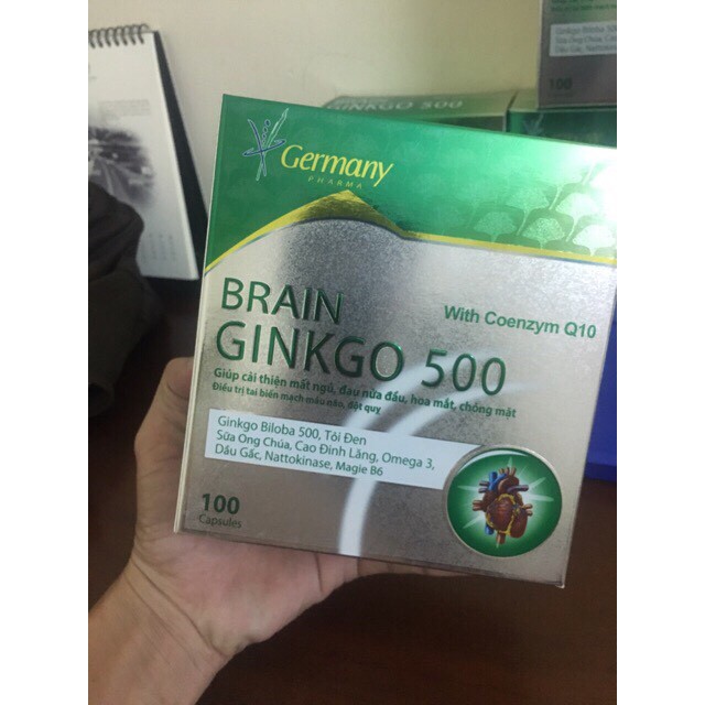 BRAIN Ginkgo 500-Giúp Hoạt Huyết, Tăng Cường Lưu Thông Máu