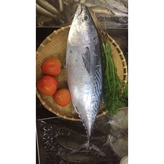 Hạt nêm Topvalu cá ngừ 80g