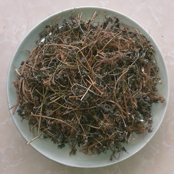 Cây bọ mắm  sấy khô 500g