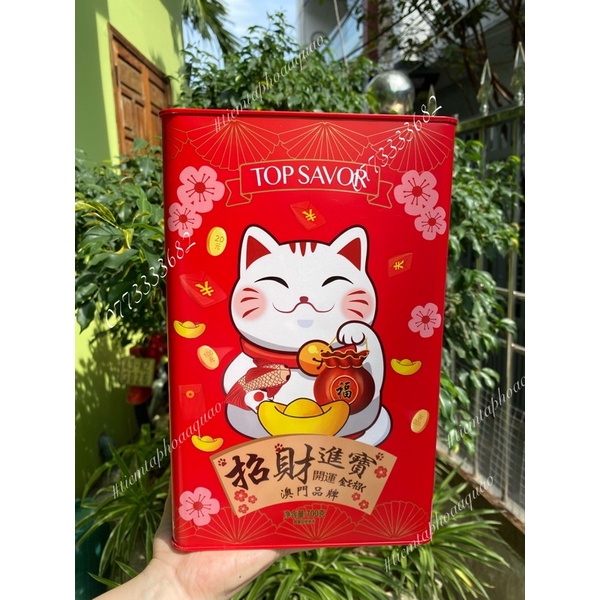 HOT- BÁNH QUY MÈO THẦN TÀI TOP SAVOR SIÊU BỰ 2022 - 700gr