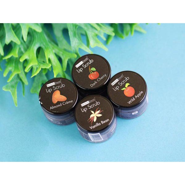 Tẩy Da Chết Môi Beauty Treats Lip Scrub Siêu Hot