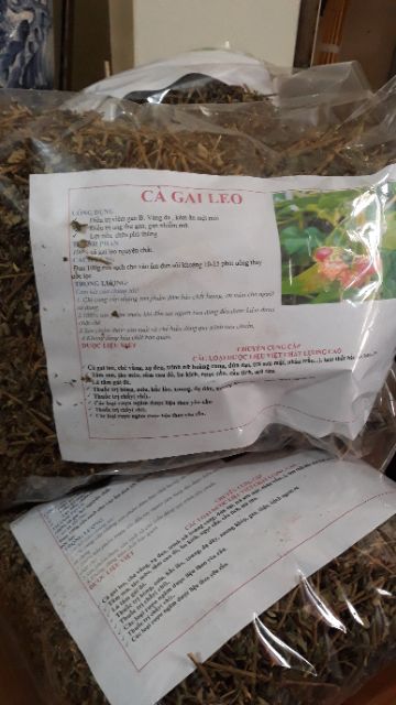 Cà gai leo khô vụ mới xanh đẹp 1kg