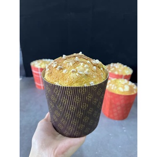 Set 5 bát giấy cứng Panettone