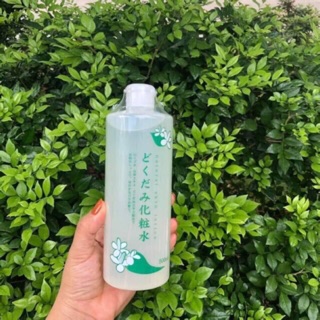 DV Nước hoa hồng diếp cá