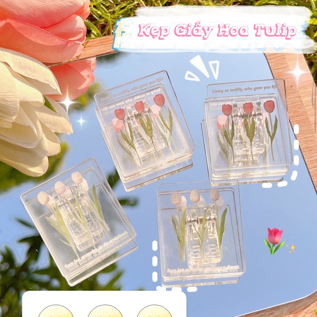 Kẹp Tài Liệu Kẹp Giấy Trong Suốt Họa Tiết Hoa TuLip