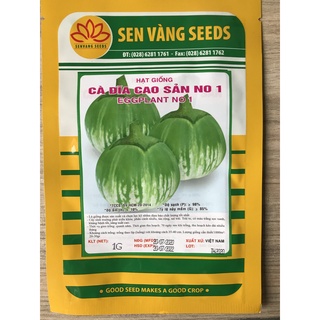 Hạt giống cà dĩa xọc xanh năng suất