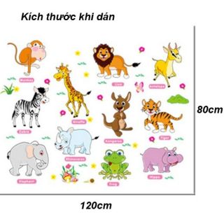 Combo decan dán tường