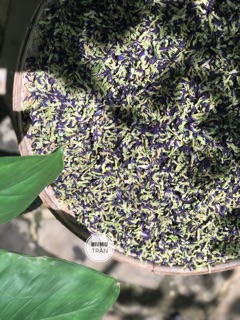 Hoa đậu biếc khô