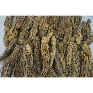 Sỉ lẻ sâm quy khô 250g - 500g