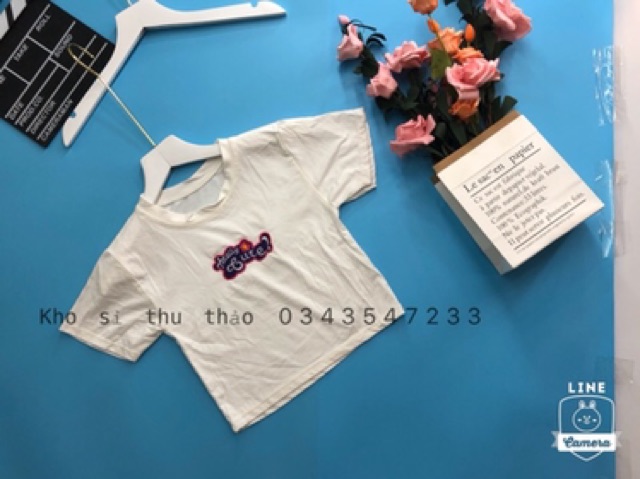 Áo croptop thêu hình chụp thật kèm video