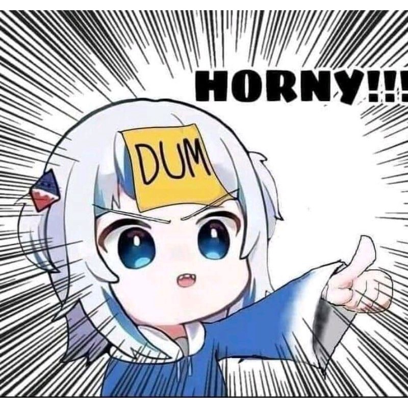 light novel