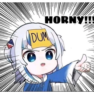 Light novel