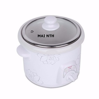 Nồi kho cá, nấu cháo, hầm đa năng Besuto BST - 4015 1.5L