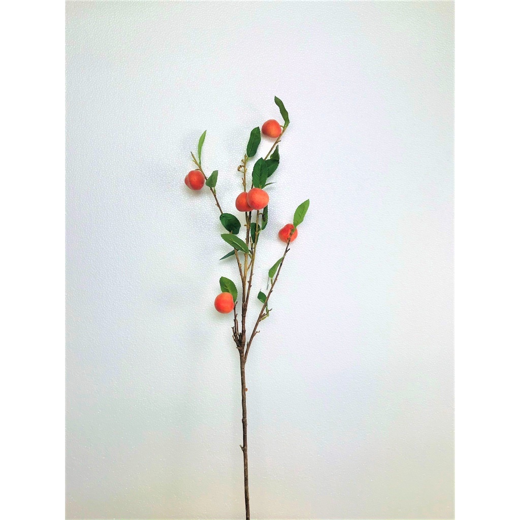 Cành ĐÀO  - CQ004 -