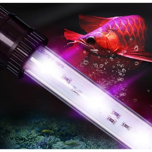 ĐÈN LED AQUAZONIC CHUYÊN DỤNG TANNINGCHO CÁ RỒNG HUYẾT LONG