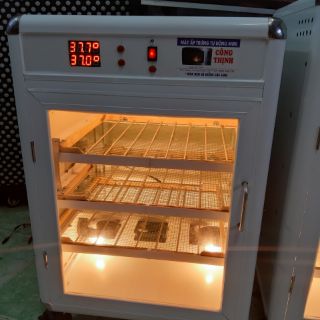 MÁY ẤP TRỨNG TỰ ĐỘNG MINI CÔNG THỊNH (180-200 TRỨNG)