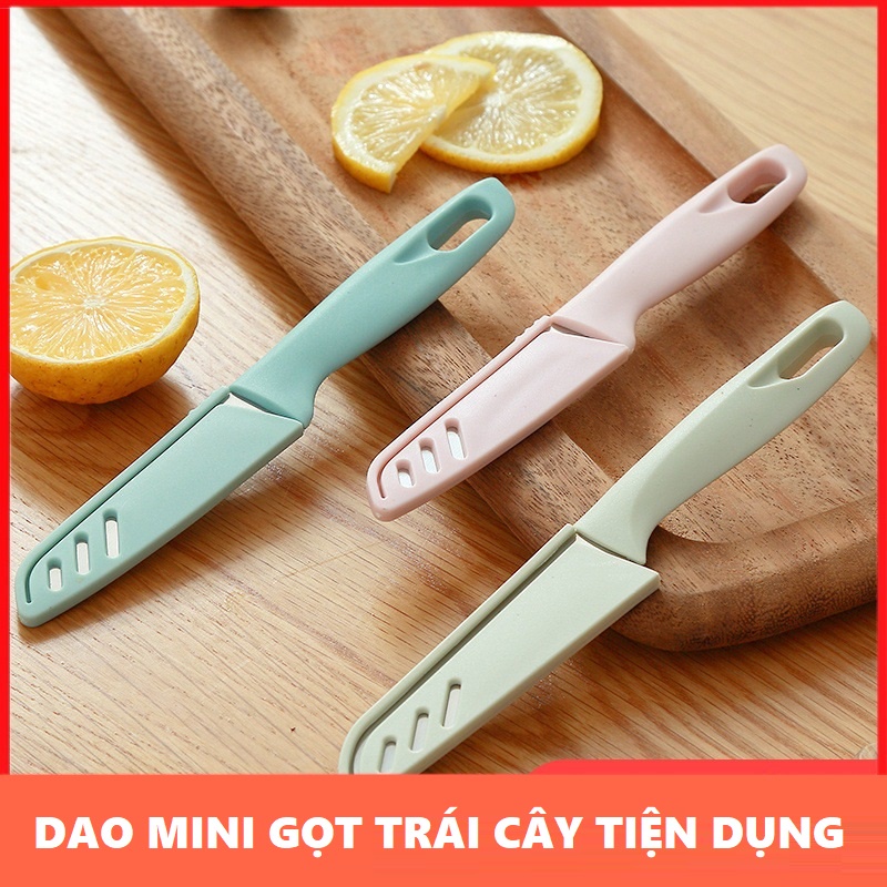 Dao mini gọt trái cây có nắp đậy DEXI