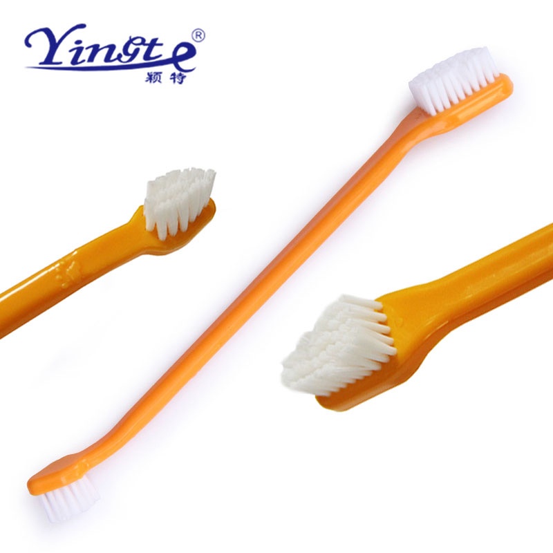 Toothpaste and toothbrush set for cats and dogs