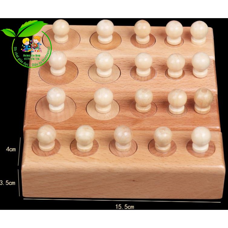 Bộ trụ có núm Montessori loại nhỏ (Mini Cylinder blocks)