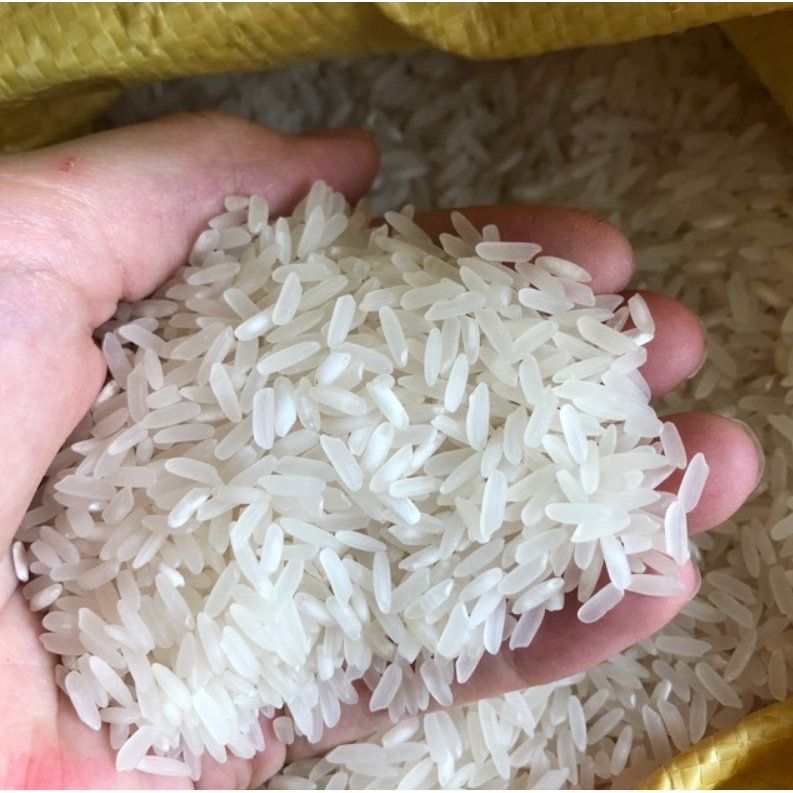 Gạo Tám Điện Biên đóng Bao 10Kg gạo thơm ngon, dẻo như gạo nếp