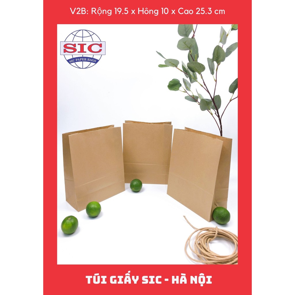 [SET 10 CHIẾC] TÚI GIẤY KRAFT NHẬT V2B: 19.5x10x25.3 KHÔNG QUAI ( ẢNH THẬT)