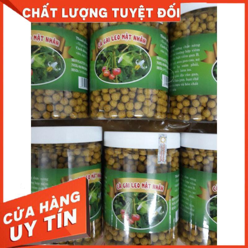 Cà gai leo mật nhân hộp 500g bổ gan, chữa các bệnh về gan