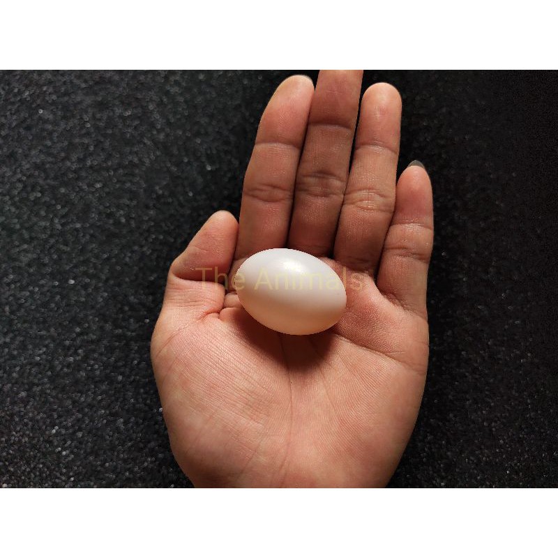 Trứng chim bồ câu giả Halosung Trứng chim phụ kiện lồng chim PK18