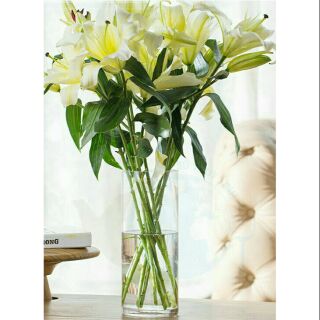 BÌNH BÔNG LỌ HOA THỦY TINH TRANG TRÍ 10x20cm