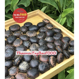 Hạt đậu lào| Hạt đậu mèo 10 hạt