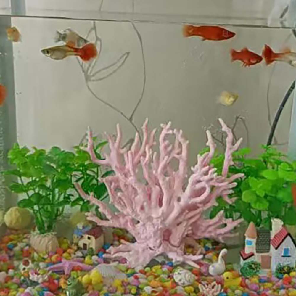 San hô giả trang trí bể cá nhiều màu đẹp mắt chất lượng