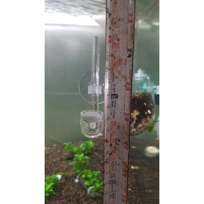 Sủi co2 mini siêu mịn
