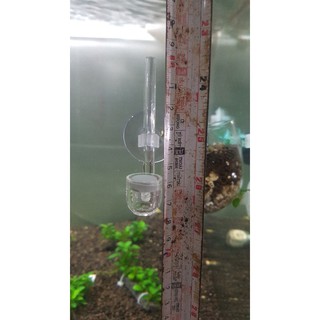 Sủi co2 mini siêu mịn - Cốc sủi nano