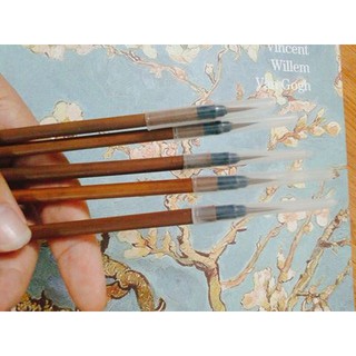Cọ tỉa lông sói Hoa Chi Tiếu