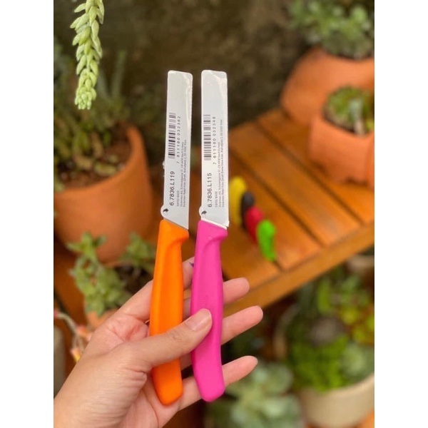 DAO RĂNG CƯA VIC THUỴ SĨ