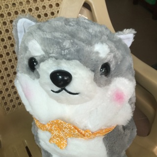 Gấu pie dép